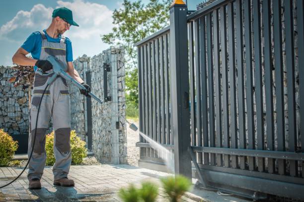 Best Driveway Pressure Washing  in Ocklawaha, FL
