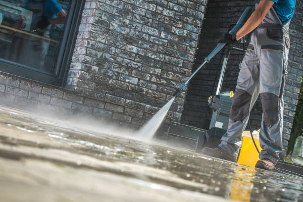 Best Animal Enclosure Cleaning  in Ocklawaha, FL