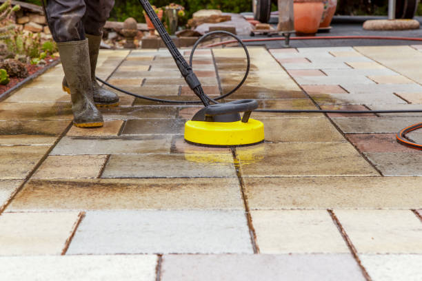 Best Roof Washing  in Ocklawaha, FL