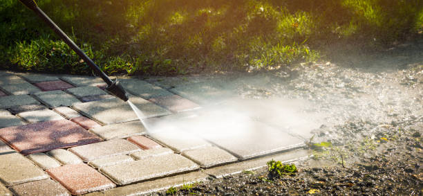 Best Building Exterior Washing  in Ocklawaha, FL