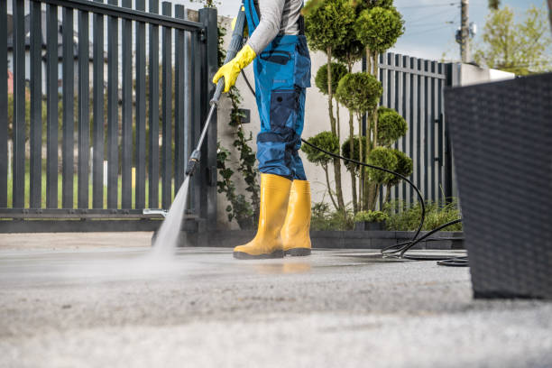 Best Pool Deck Cleaning  in Ocklawaha, FL