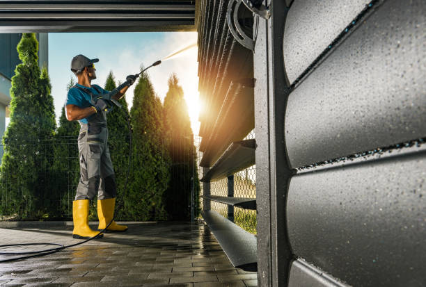 Best Sidewalk and Walkway Cleaning  in Ocklawaha, FL